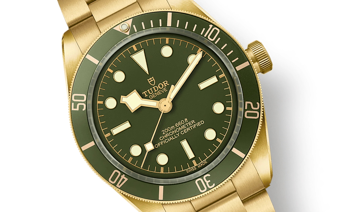 Tudor Black Bay M79018V-0006 WatchProject 21 Shop